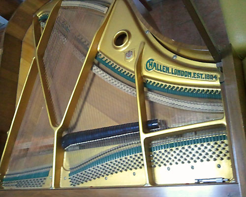 Klavirstimer Branko Kozarski